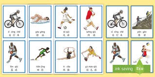 第十三届市长杯“香港赛马会”篮球联赛落幕